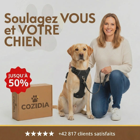 Cozidia™ - Harnais Anti-Traction