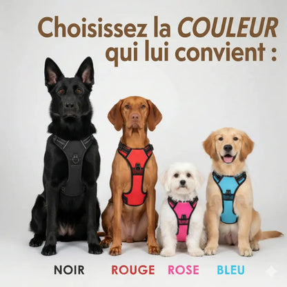 Harnais Anti-Traction