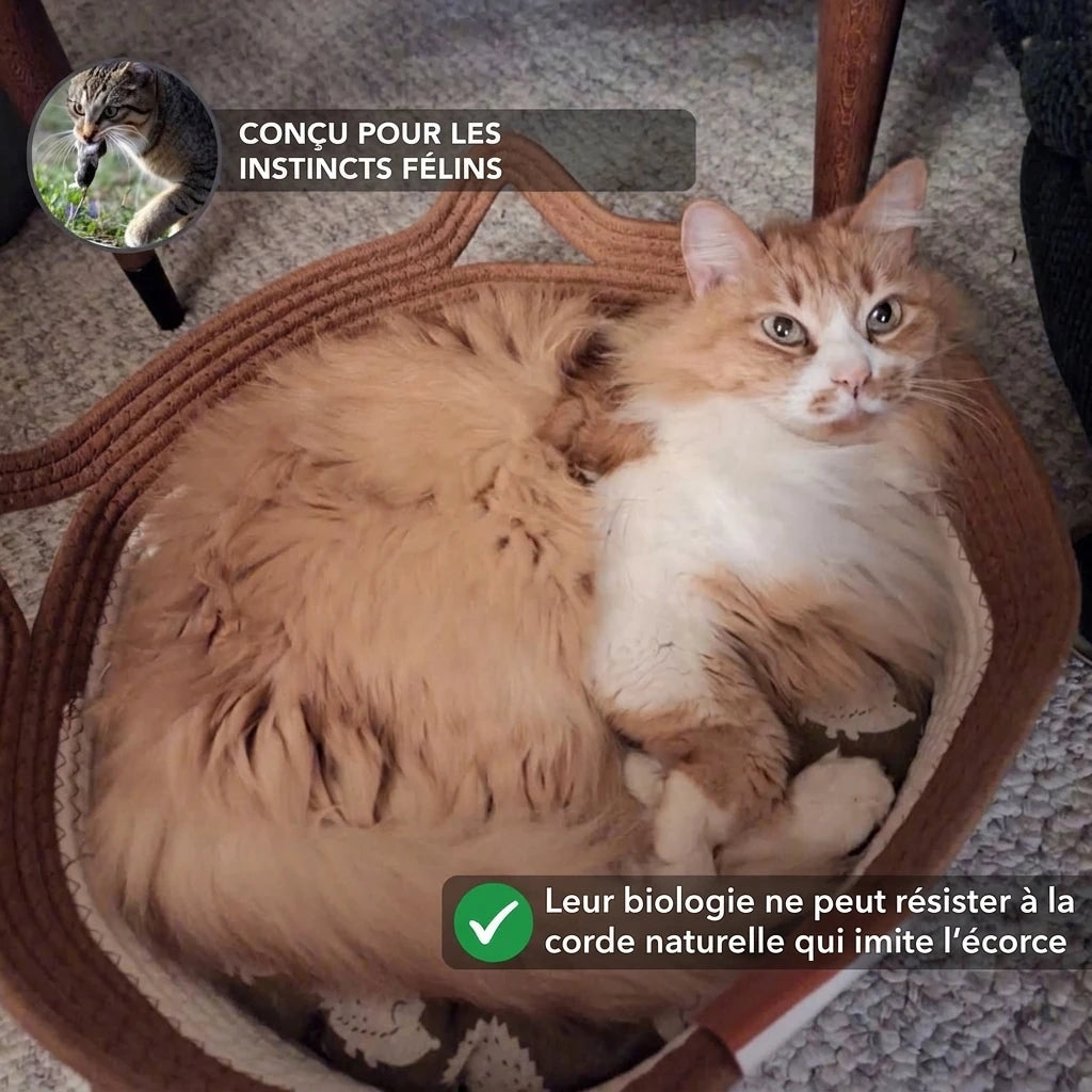 Le Panier Sauvage
