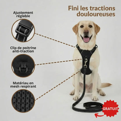 Harnais Anti-Traction