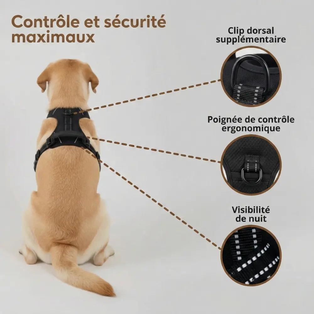 Harnais Anti-Traction