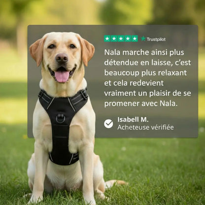 Harnais Anti-Traction