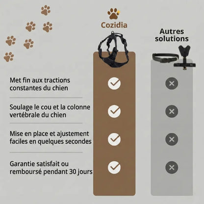 Harnais Anti-Traction