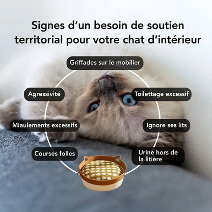Le Panier Sauvage