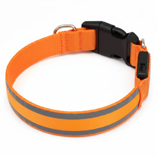 Collier Lumineux pour Animaux