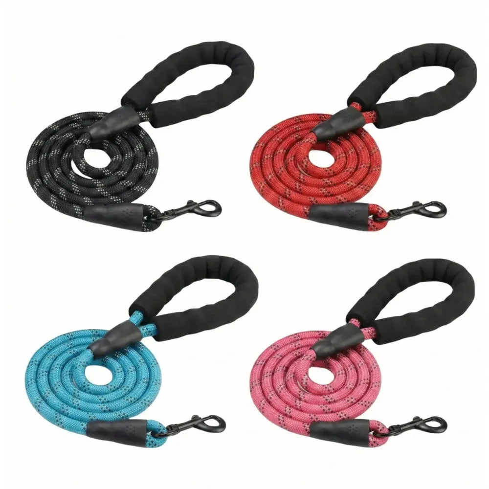 Laisse Animale Premium Anti-Traction
