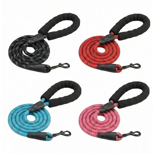 Laisse Animale Premium Anti-Traction